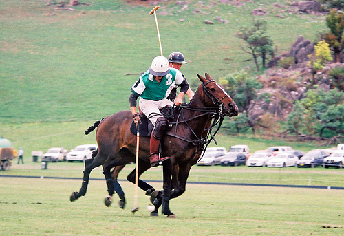 14331107893_88f93c2a8f