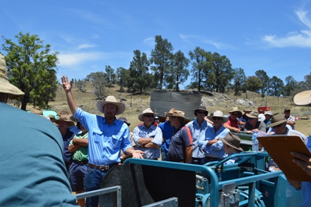 Luke Whitty Auctioneering at Galwary Clearing Sale on Saturday