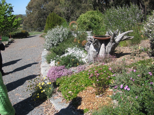 a-birdbath-made-from-a-tree-trunk-in-alex-and-fionas-garden