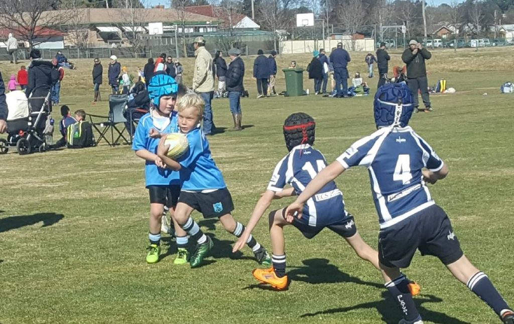 CANOWINDRA PYTHONS JUNIOR RUGBY UNION - The Canowindra Phoenix