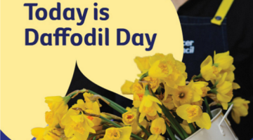 Thursday 20 August is Daffodil Day.