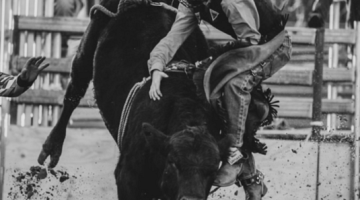 Winning photograph by Molong resident Michelle Peters Got to last the distance .