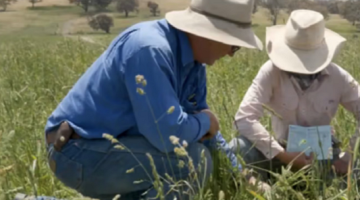 Imrove your grazing management at the Yeoval Prograze workshops.
